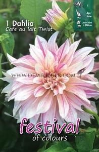 Festival Spring Dahlia Dinnerplate Dahlia Cafe Au Lait Twist I (x14x1)