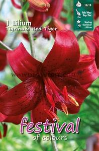 Festival Spring Lilium Lilium Tigrinum Rood 16/18 (x14x1)