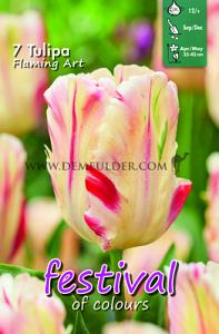 Tulips Flaming Art 12/+ (x12x7)