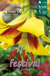 Pre-packed Lilium Yellow - Red 16/18 (x14x1)