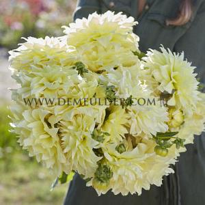 Dahlia Kelvin Floodlight (x 35)