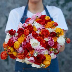 Ranunculus Amandine Gemengd 3/5 (x 250)