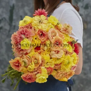 Ranunculus Amandine Pastel Lemon 3/5 (x250)