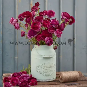 Ranunculus Amandine Violet 3/5 (x250)