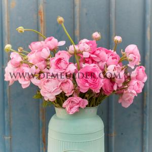 Ranunculus Amandine Rose 3/5 (x250)