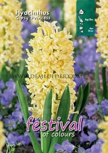 Binbox Hyacinthus Gipsy Princess 18/19 (x50)