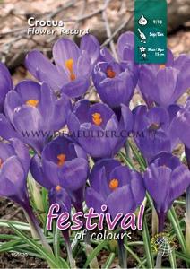 Binbox Crocus Flower Record 9/10 (x100)