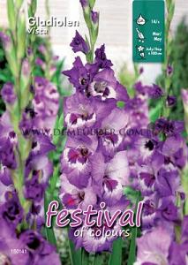 Binbox Gladiolen Vista 14/+ (x80)