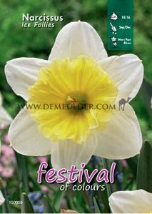 Binbox Narcissus Ice Follies 12/14 (x50)