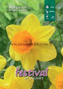 Binbox Narcissus Bright Jewel 12/14 (x50)