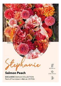 Dahlia Collecties Exclusive Collection Exclusive Collection Dahlia's Stephanie