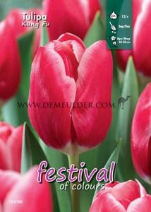 Binbox Tulips Kung Fu 12/+ (x100)