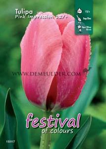 Binbox Tulips Pink Impression 12/+ (x100)