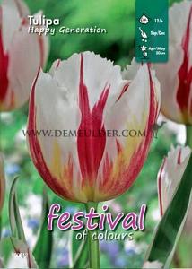 Binbox Tulips Happy Generation 12/+ (x100)