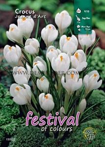 Binbox Crocus Jeanne d'Arc 9/10 (x100)