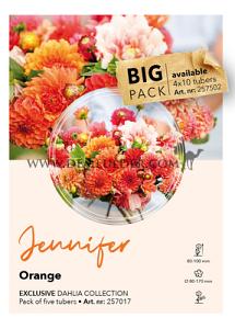 Dahlia Collecties Exclusive Collection Exclusive Collection Dahlia's Jennifer