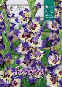  Binbox Gladiolen Circus Club 14/+ (x80)