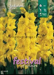 Binbox Gladiolen Yellow 14/+ (x80)