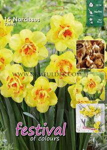 Narcissus Tahiti 12/14 (x15x15)