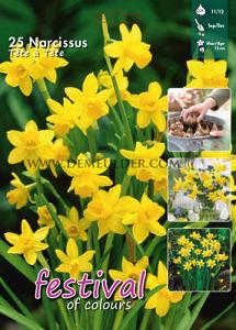 Narcissus Tete a Tete 11/12 (x15x25)