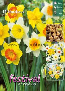 Narcissus Mixed 10/12 (x15x15)