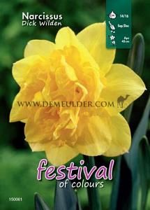 Binbox Narcissus Dick Wilden 12/14 (x50)