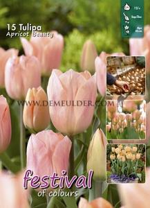 Tulips Apricot Beauty 12/+ (x20x15)