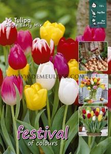 Tulips Single Early Mixed 12/+ (x20x15)