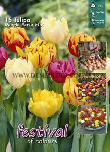 Tulips Double Early Mixed 12/+ (x20x15)