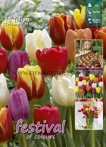 Tulips Triumph Mixed 12/+ (x20x15)