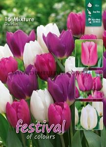 Mix Dublin 12/+ (x12x15)