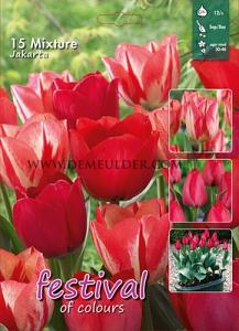 Mix Jakarta 12/+ (x12x15)