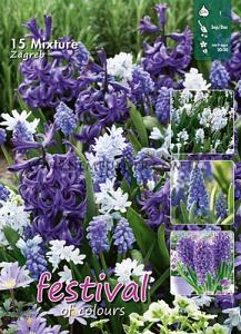 Mix Zagreb I (x12x15)