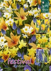 Mix Aberdeen I (x12x25)