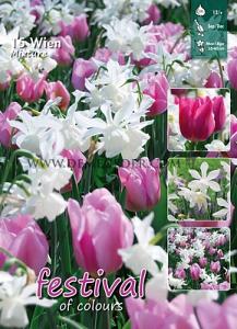 Mix Wien 12/+ (x12x15)