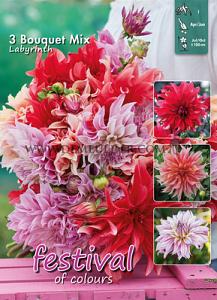 Pre-packed Dahlia Labyrinth Bouquet Collection 100cm  I (x10x3)