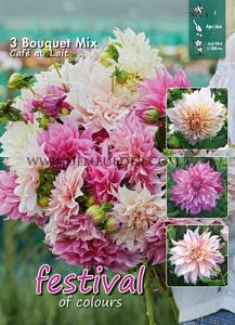 Festival Winter Big packs mixes Dahlia Café au Lait Bouquet Collection 100cm Decorative Large-flower