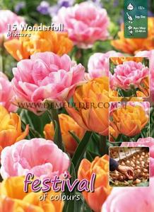 Mix Wonderfull 12/+ (x12x15)