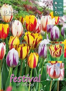 Mix Berlin 12/+ (x12x15)