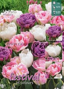 Mix Paris 12/+ (x12x15)