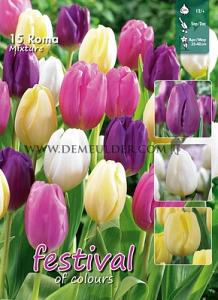 Mix Roma 12/+ (x12x15)