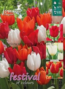 Mix Glasgow 12/+ (x12x15)