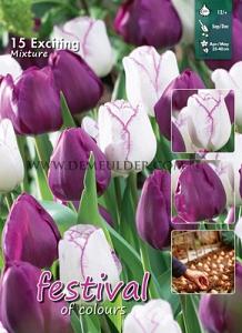 Mix Exciting 12/+ (x12x15)