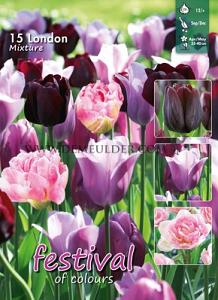 Mix London 12/+ (x12x15)