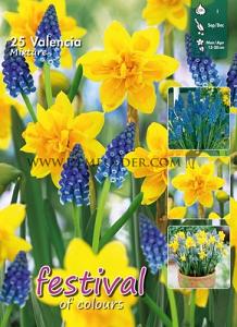 Mix Valencia I (x12x25)