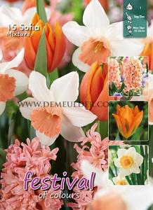 Mix Sofia I (x12x15)