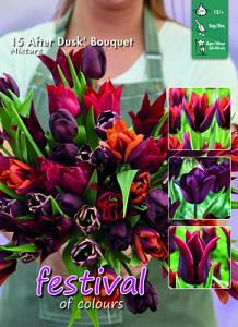 After Dusk Bouquet Mix I (x12x15)