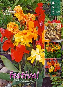 Pre-packed Canna Mixed I (x8x5)
