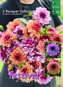 Festival Spring Big packs mixes Dahlia Creme Cocktail Mix I (x16x3)
