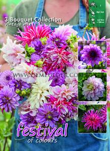 Festival Spring Big packs mixes Dahlia Vintage Mix I (x10x3)